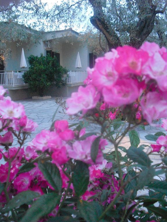 Guesthouse Irene Áfissos Exterior foto